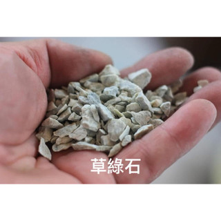鋪面石/塊根植物/龍舌蘭/草綠石/陽光美錦DAYLIGHT PLANTS