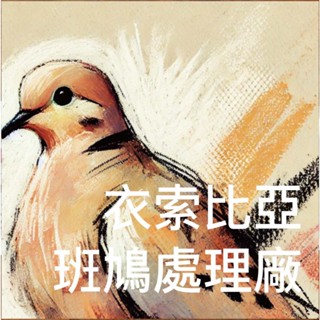 單品咖啡豆 衣索比亞 西達摩 斑鳩處理廠 慢乾日曬【半磅】