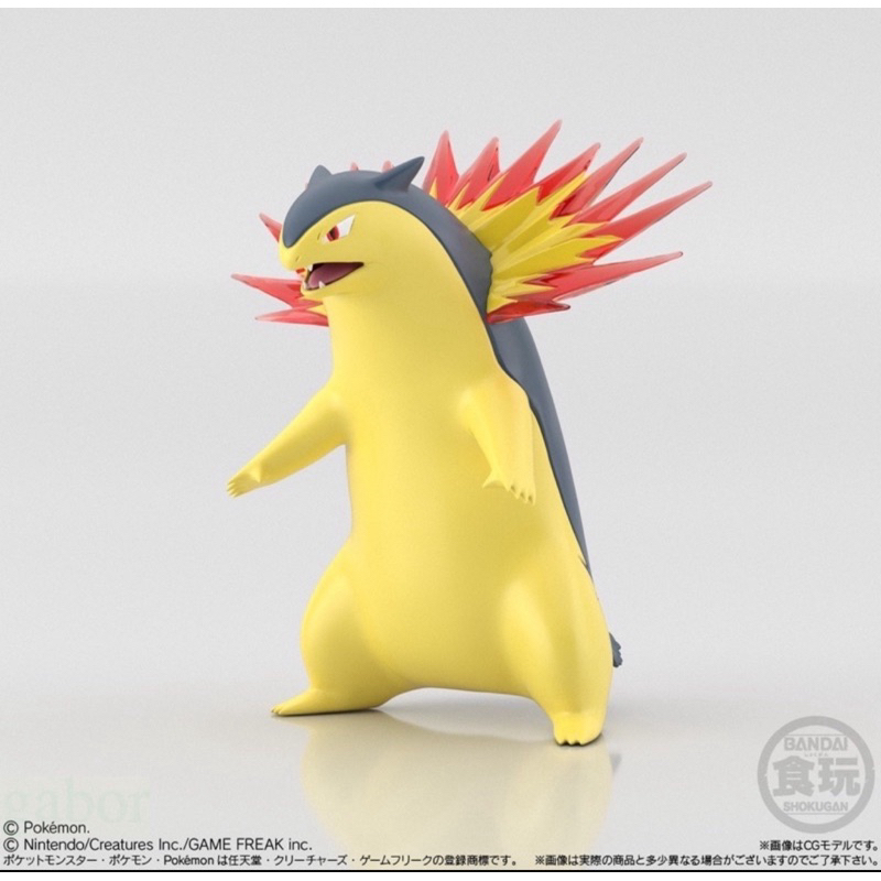現貨 正版 BANDAI 精靈寶可夢SCALEWORLD城都地區火爆獸月伊布太陽伊布果然翁火球鼠盒玩