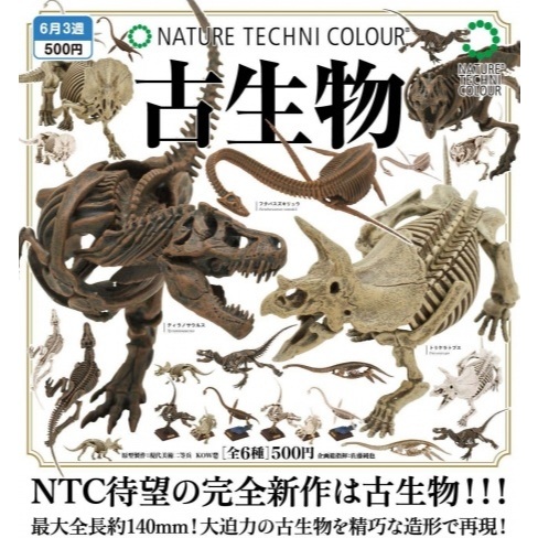 𓅓MOCHO𓅓 6月預購 IKIMON 扭蛋 NTC圖鑑-古生物 全6種
