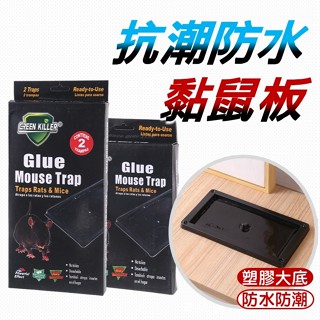 防潮防水黏鼠板 黑底隱形 強力黏膠 美式黏鼠板 捕鼠器 鼠 老鼠 補鼠 捕鼠籠 捕鼠 老鼠籠 黏鼠板 鼠板 塑膠黏鼠板