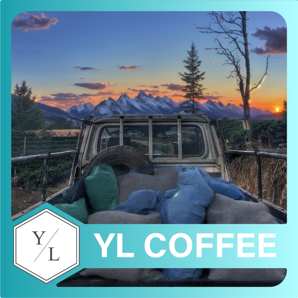 【咖啡友樂】卡拉維拉咖啡生豆烘焙Caravela Coffee Asia︱祕魯咖啡豆雙重發酵水洗︱近大雅自家烘焙咖啡推薦