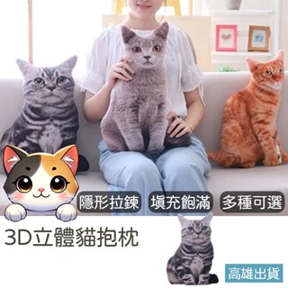 3D立體貓抱枕 臺灣現貨免運 貓咪背影抱枕 貓娃娃 3D模擬 貓咪娃娃 貓娃娃 貓咪抱枕 貓玩偶 抱枕 療癒抱枕