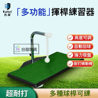 （臺灣現貨 原廠正品） 高爾夫 揮桿打擊 練習墊
