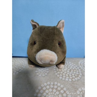 小豬娃娃 抱枕 午睡枕🐷