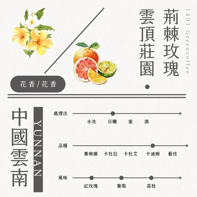 中國 雲南 雲頂莊園 荊棘玫瑰🌹 日曬 生豆500克 批發零售 店家配合 大量 精品咖啡豆 代烘服務 灰焉國際