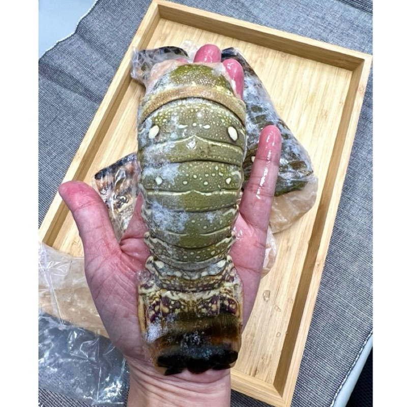 【伯宥水產】鮮凍龍蝦身／4盎司約115g±10%／現貨秒出／龍蝦身／龍蝦尾／龍蝦／清蒸／蒜蓉／焗烤／海味十足