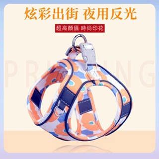 臺灣出貨 小狗貓咪牽引繩 狗繩 胸背帶背心式 遛貓牽引繩 寵物胸背帶 牽引繩 寵物牽引繩 牽引 狗狗牽繩 貓咪牽繩