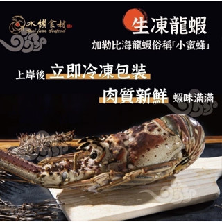 【漁人百鮮】加勒比海-生凍龍蝦. -[冷凍寄件]