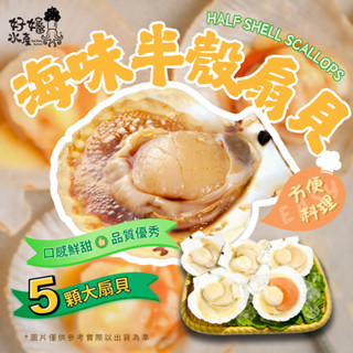 【好嬸水產】飽滿鮮甜清爽海味扇貝｜5顆｜400-500G｜中國｜活撈速凍扇貝火鍋食材露營烤肉必備烤肉海鮮幹貝冷凍宅配海鮮