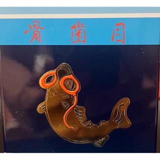 代購日本光伸免稅店～骨齒目模型 日本帶回