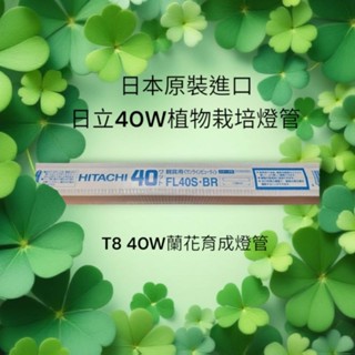 日立 T8 40W植物燈管 4尺傳統螢光植物燈管 BR 蘭花育成燈管 日本原裝進口