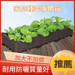 【桃園出貨】種植箱 種菜盆 加厚特大號 家庭 陽臺 樓頂 種菜神器 塑膠花盆 種菜 專用箱