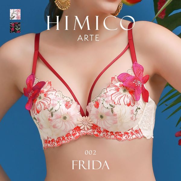 🇯🇵Suki日本代購🇯🇵日本 HIMICO 內衣褲 002series  	 HIMICO ARTE
