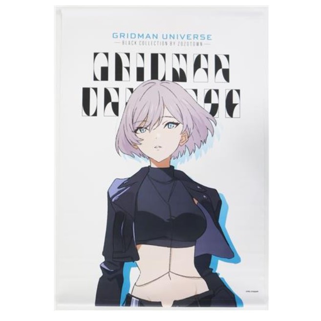 🐈幸幸貓🐈現貨 全新 電光超人 貉 GRIDMAN UNIVERSE × ZOZOTOWN B2掛軸