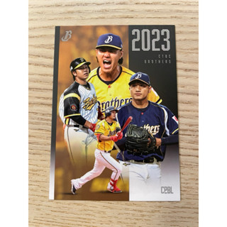 中華職棒球員卡 中華職棒34年 特卡 中信兄弟 團體卡 CPBL 2024