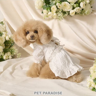 【PET PARADISE】荷葉邊緞帶鏤空洋裝/白色 (SS/DS/S)｜cherircouture 2025全新春裝