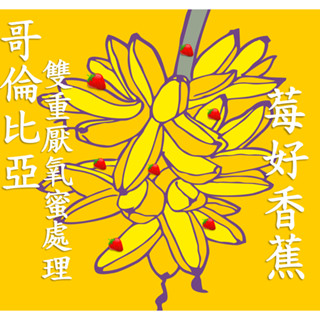 (2024) 獵豆工坊🐆哥倫比亞 瑪格麗特 莓好香蕉 雙重 厭氧蜜處理 咖啡生豆 500g