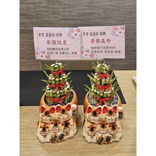 朵麗絲花店 招財貓(中)開運竹盆栽E251 開幕盆栽 開幕送禮 開店招財 新居落成