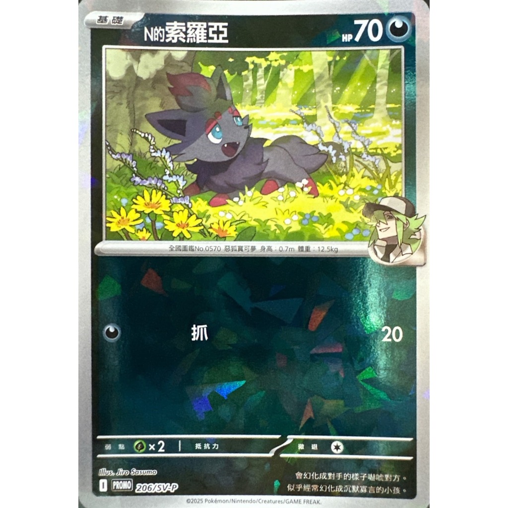 [ALG 卡牌專門] 寶可夢 PTCG 中文版 N的索羅亞 promo 206/SV-P 已拆封