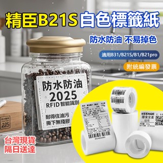 精臣標籤紙 臺灣總代理現貨 標籤紙 B21-pro B21S B31 B1 標籤機貼紙 純白系列 防水防油不留殘膠 貼紙