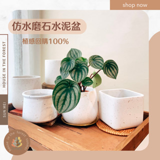 臺灣發貨/森美植所/水磨石感盆/水泥盆/花盆/花器/盆器/植栽/觀葉/多肉/水泥盆橢圓盆/長筒盆