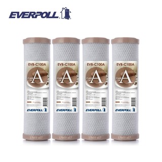 EVERPOLL EVB-C100A 壓縮活性碳濾心 10英吋標準規格(4支入)
