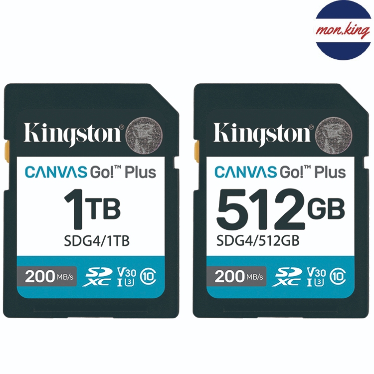 KINGSTON 512GB 512G 1TB SD SDXC SDG4 200MB V30 4K 金士頓 記憶卡