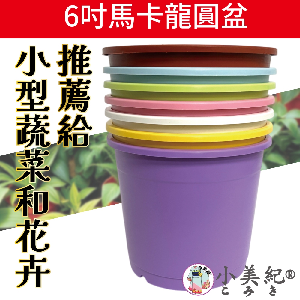 【小美紀】6寸馬卡龍花盆（園藝資材）6吋盆 花盆 盆栽 草莓盆 圓盆 植栽盆 透氣盆 移植 圓盆 肥料 土壤 種子 多肉