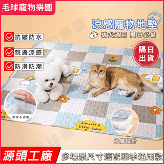 【臺灣現貨】寵物墊子 寵物睡墊 狗狗地墊 寵物止滑墊 免洗寵物地墊 寵物地毯 寵物防滑地墊 貓咪地墊 寵物墊 防水
