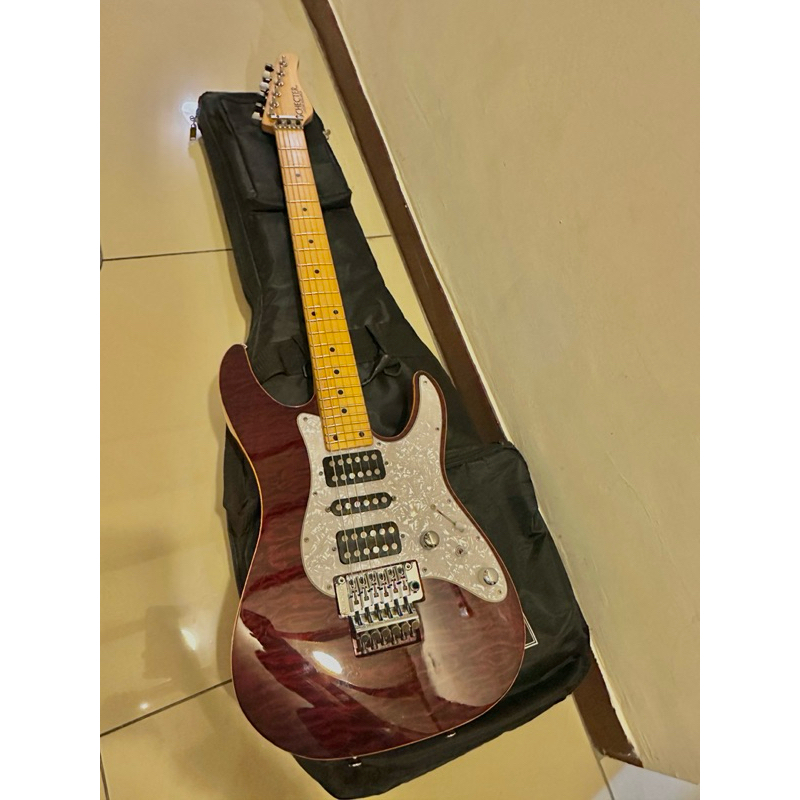 Schecter SD-II-24 ASH 日廠 電吉他 ACG神器