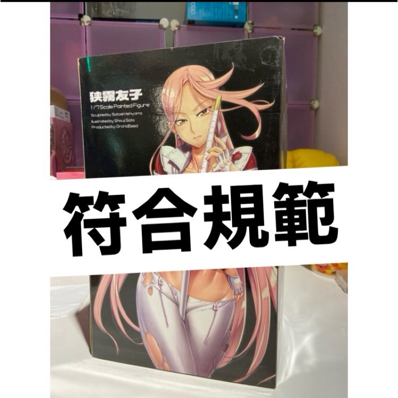 白衣款 絕命x制裁 狹霧友子 1/7塗裝完成版 有盒 全新未拆港版 Yuko Sagiri