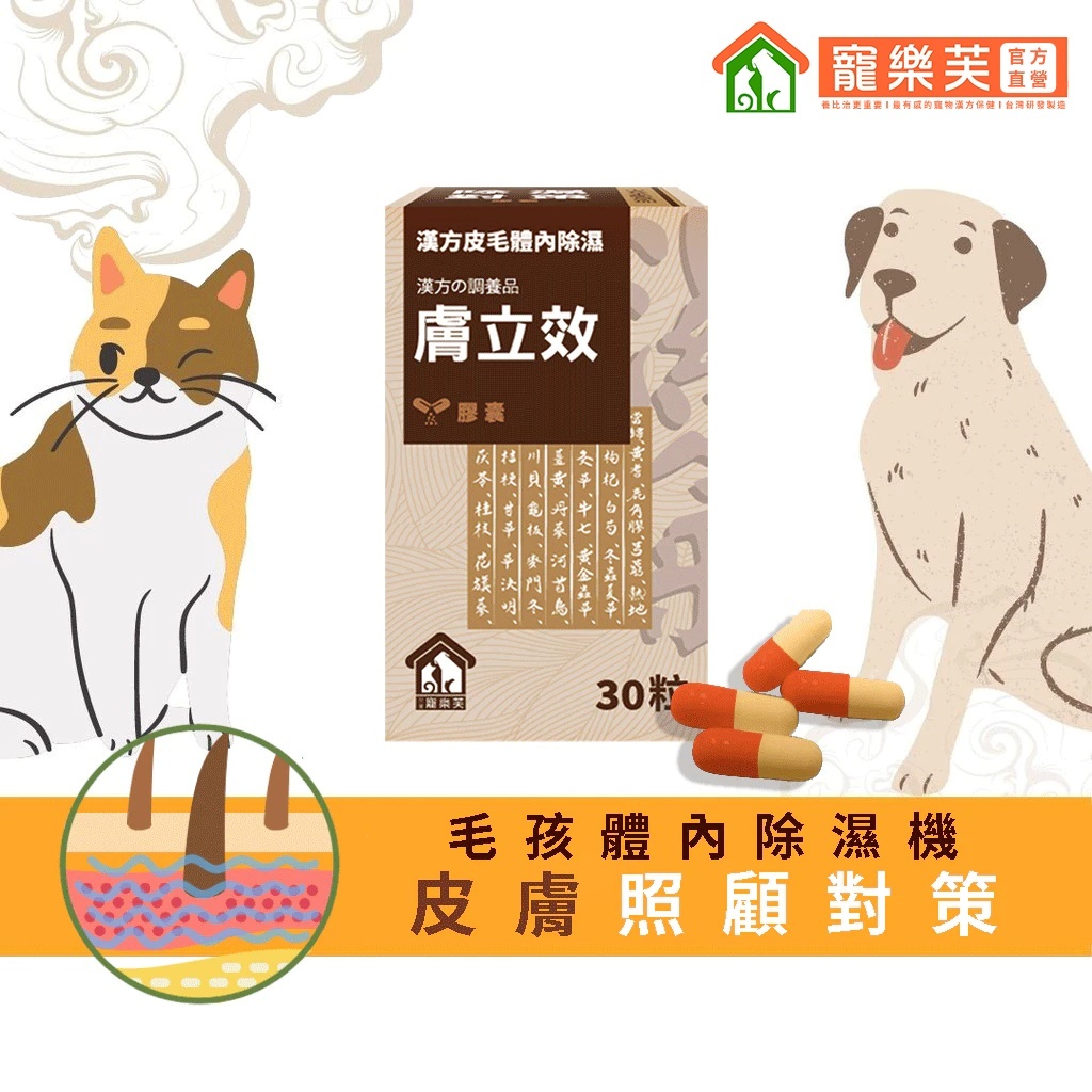 【寵樂芙】膚立效(30粒/膠囊)漢方體內祛濕調養｜毛孩的體內除濕機狗狗皮膚保健品