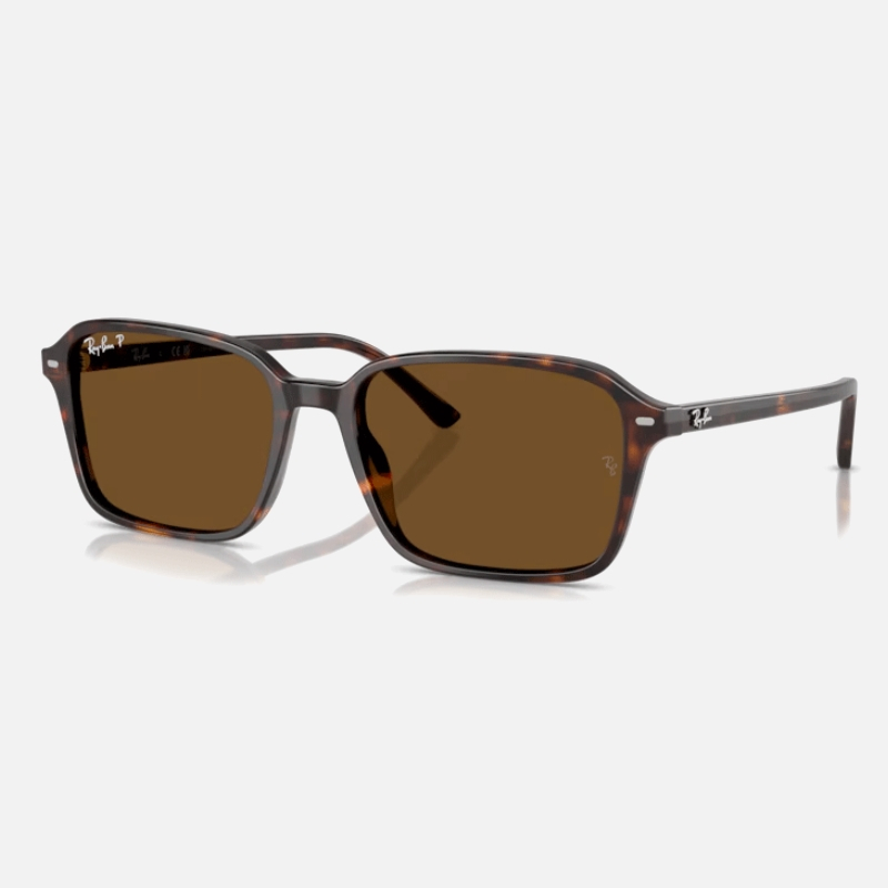 RayBan RB2231F 雷朋太陽眼鏡 大臉復古成毅同款偏光復古方框墨鏡 男生品牌眼鏡【幸子眼鏡】
