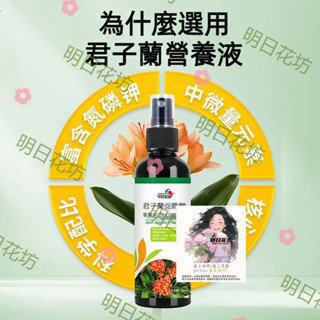明日花坊 君子蘭專用 植物 綠植 盆栽 家用 園藝花卉 100ml