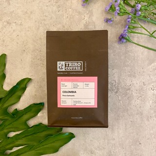 TRIBO COFFEE 精品咖啡豆 │哥倫比亞 聖圖阿里歐莊園 愛情靈藥 厭氧日曬 淺中焙 (半磅咖啡豆)