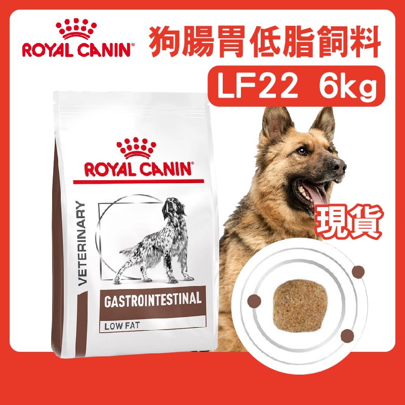 (現貨長效期)免運+蝦幣回饋【ROYALCANIN皇家】E愛犬處方 LF22 腸胃低脂6kg 處方飼料 皇家狗處方飼料