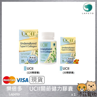 沛茲寵物【樂倍多 Lapeto UC-II 非變性二型膠原蛋白】UCII 膠原蛋白 關節 臺灣 狗 保健品