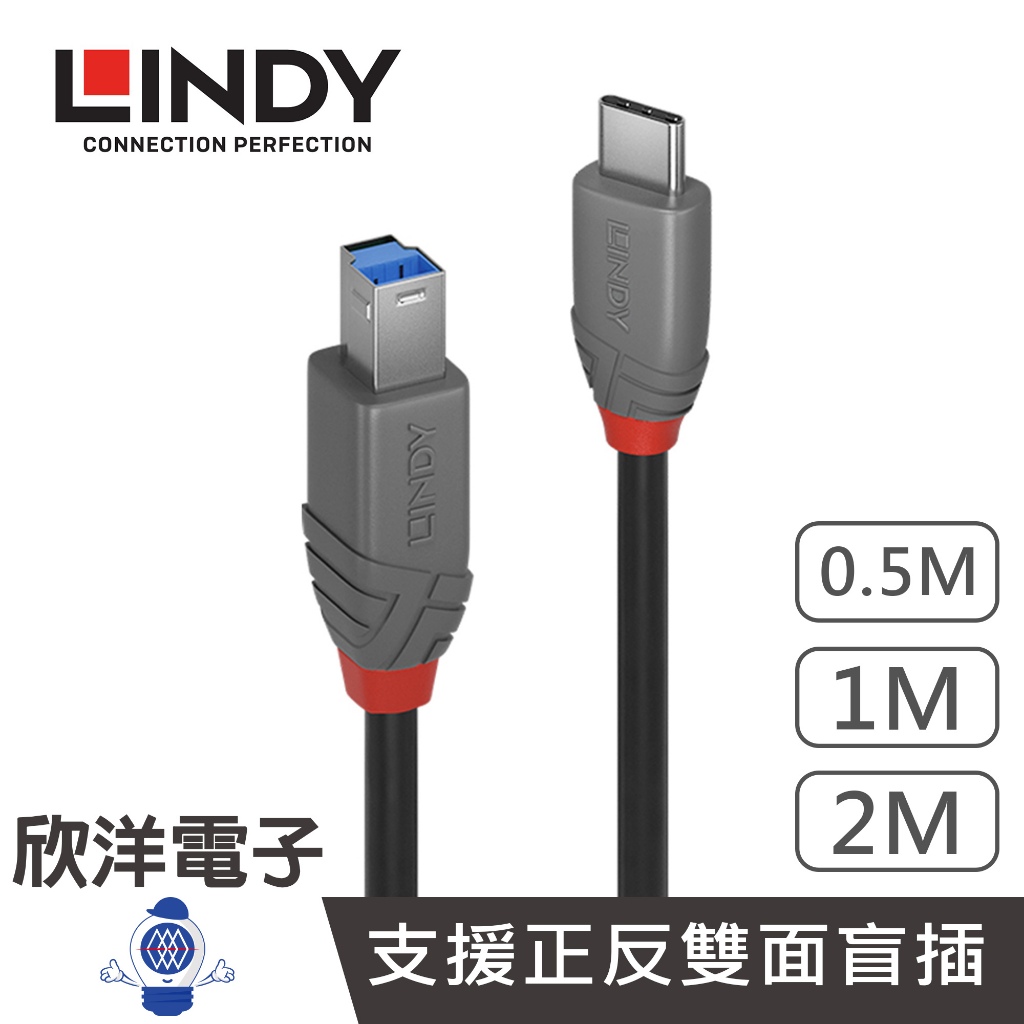 LINDY林帝 USB3.2 GEN1 TYPE-C 公 TO TYPE-B 公 傳輸線 TYPE-C to B