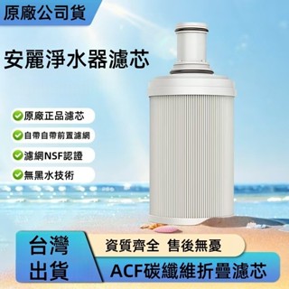 現貨免運-限時特賣 2025最新日期 全新 安麗益之源espring紫外線濾芯-原廠公司貨-AMWAY 淨水器過濾芯下殺
