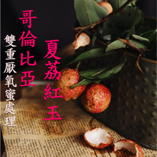 (2025) 獵豆工坊🐆哥倫比亞 瑪格麗特 夏荔紅玉 雙重厭氧蜜處理 咖啡生豆 500g