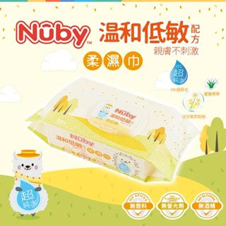 美國 Nuby EDI超純水柔濕巾 88抽｜超純水 不連抽 包包附蓋 保溼成分