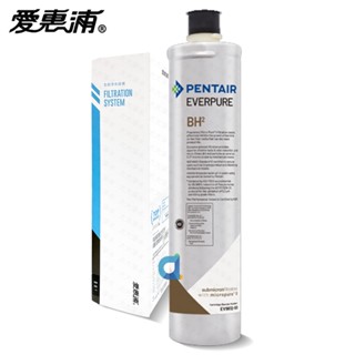 臺灣愛惠浦PENTAIR EVERPURE BH2 咖啡機 抑菌 抑垢 原廠公司貨盒裝濾芯 大大淨水
