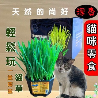 免運 ~輕鬆玩貓草一盒2盆 源杏 栽培盒 精心挑選優質種子 貓草 DIY 種貓草 自己種 純天然 愛貓🌷妤珈寵物店🌷