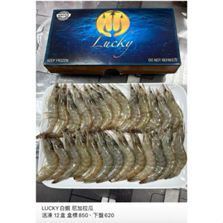 （揪滿溢）Sunny/Lucky/紅太陽 40/50白蝦 重850克
