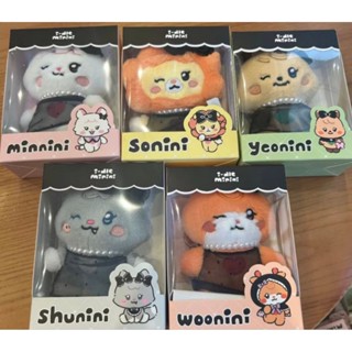 i-dle快閃娃娃 minini PLUSH 官方正版 內含小卡 未拆盒娃 line friends 娃娃 gidle