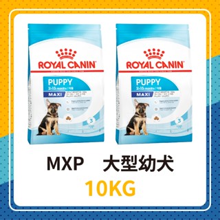 🦊 皇家 MXP 大型幼犬 10KG / 10公斤 大型幼犬專用乾糧 大型幼犬專用飼料 大型幼犬狗飼料 大型犬 幼犬