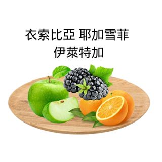 【瑞芬咖啡坊】粹選莊園濾掛式咖啡 衣索比亞 耶加雪菲 伊萊特加村 AMA計畫 日曬