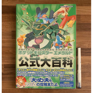 大型本 GBA 精靈寶可夢 綠寶石版 綠寶石 地圖百科通關圖鑑書 神奇寶貝 口袋怪獸 官方正版公式日文攻略書 任天堂