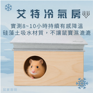 ⚡現貨+快速出貨+有冰寶📦倉鼠冷氣房 艾特冰床 艾特冰屋 冰屋 冰床 倉鼠 寵物空調屋 倉鼠降溫 倉鼠冰墊 倉鼠散熱